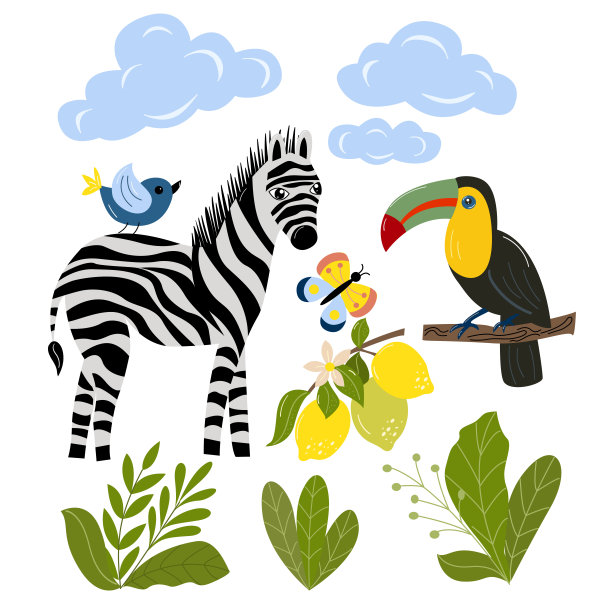 一组热带动物-斑马，巨嘴鸟，蝴蝶，树叶，云彩在矢量图形上的白色背景。用于设计明信片、横幅、封面、t恤、包装图片下载