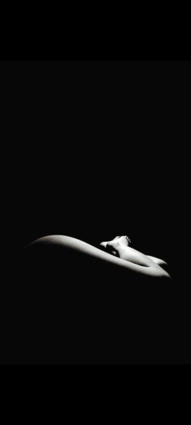 腿女人黑白相间图片下载