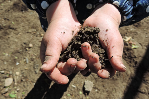 手掌里的泥土/一把泥土/脏手掌上的指甲/指甲下的泥土图片下载