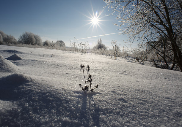 冬天平坦的风景图片下载