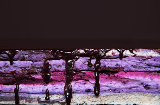 用薰衣草奶油和蓝莓制作蛋糕的照片。在成品阶段的糖果。甜点的质地分层图片下载