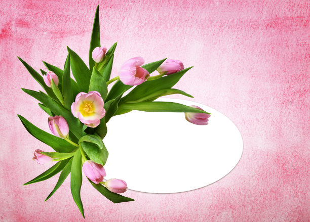 粉红色的郁金香花在一个花卉安排与木框架和一张卡片上的水彩背景图片下载