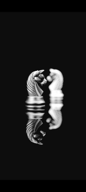 象棋马黑色和白色图片下载