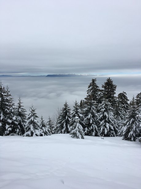 山景城图片下载