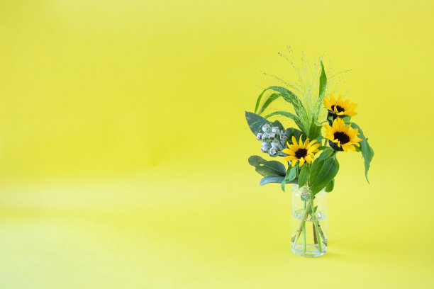 太阳花和桉树花束图片下载