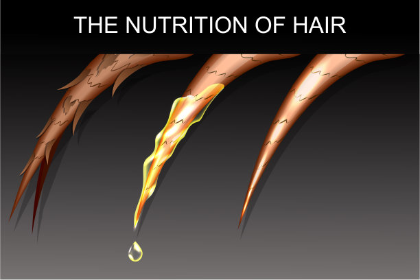 营养和加强头发图片下载