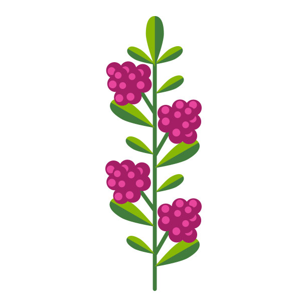 简单而极简的亮绿色枝叶和粉红色的浆果。收集色彩鲜艳的植物作季节装饰。植物学的程式化图标。股票矢量插图在平面风格图片下载