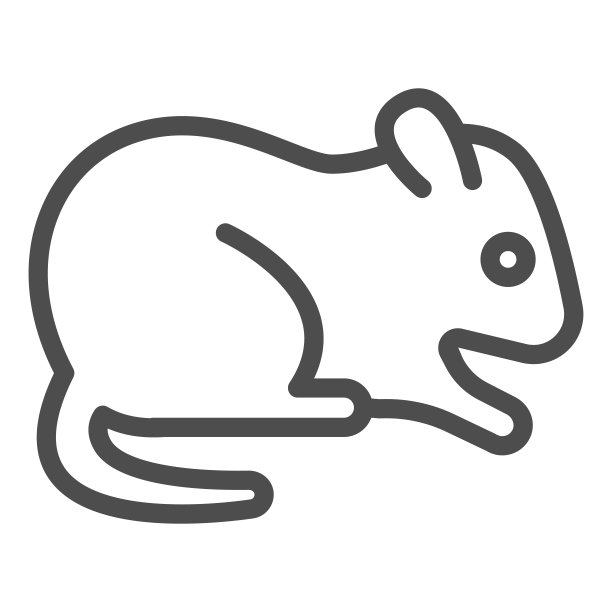 仓鼠线图标，家畜概念，啮齿动物标志在白色的背景，仓鼠剪影图标轮廓风格的移动概念和网页设计。矢量图形。图片下载
