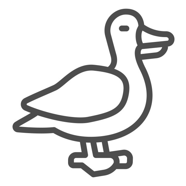 鸭线图标，家畜概念，家禽标志的白色背景，鸭鸟轮廓图标在轮廓风格的移动概念和网页设计。矢量图形。图片下载