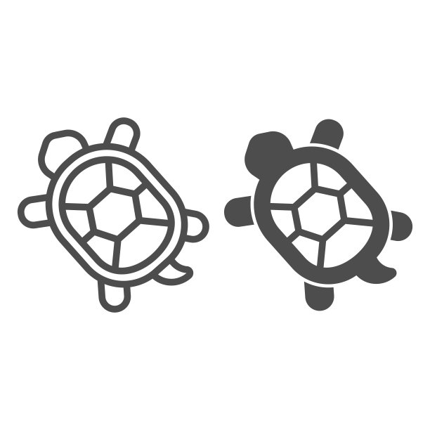 海龟与硬壳线和固体图标，家畜概念，乌龟标志的白色背景，海龟图标的轮廓风格的移动概念和网页设计。矢量图形。图片下载