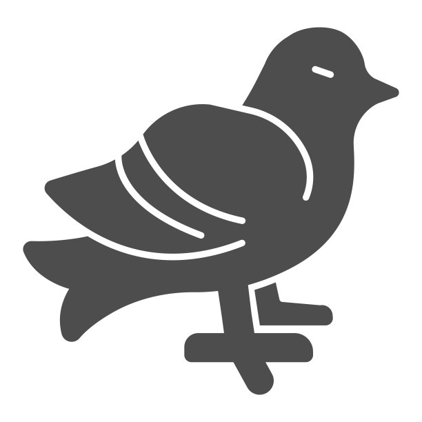 鸽子固态图标，家畜概念，城市鸟类标志在白色背景，坐鸽子图标在字形风格的移动概念和网页设计。矢量图形。图片下载