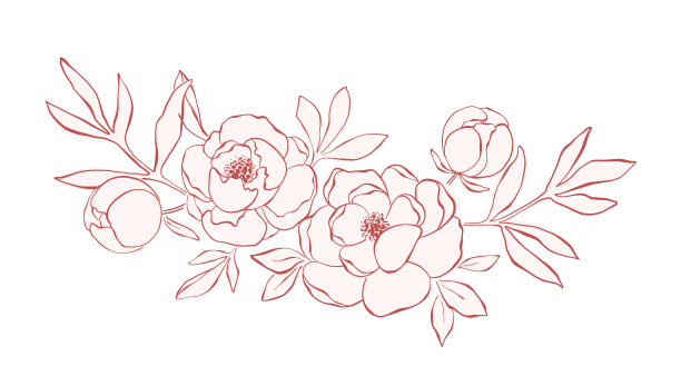 线条艺术牡丹编排图片下载