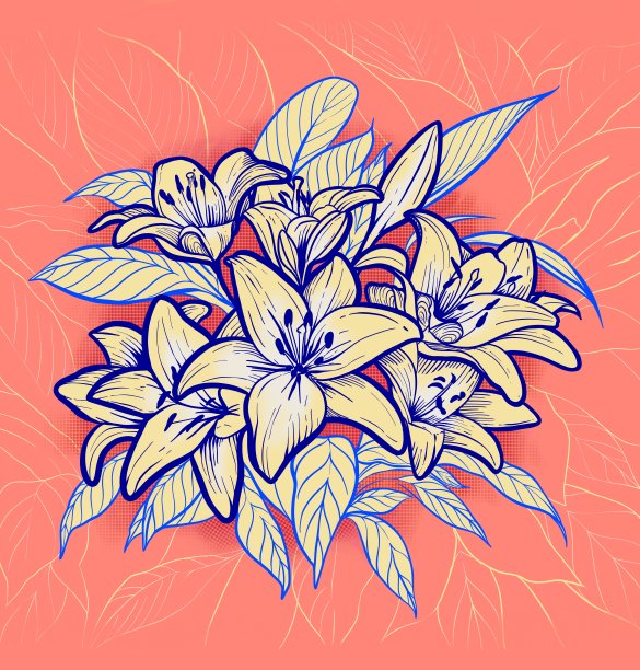 百合花图片下载