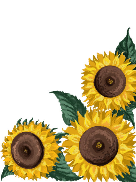 向日葵图片下载