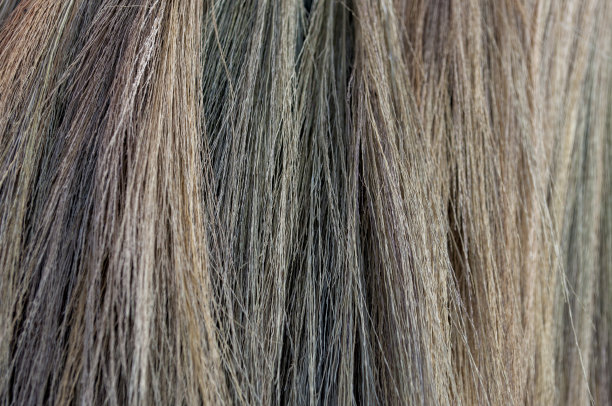 抽象的纹理扫花图片下载