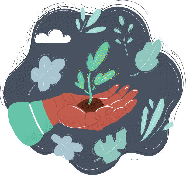 小植物在人的手上图片下载