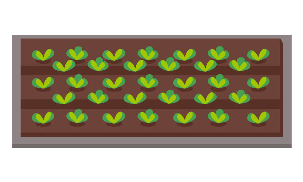 菜园中扁平植物图片下载