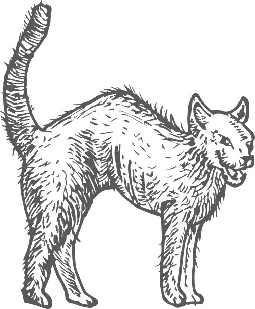 手绘万圣节可怕的邪恶猫图片下载