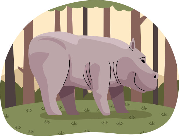 野生犀牛动物在森林自然景观图片下载