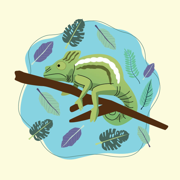 野生变色龙动物自然风光图片下载