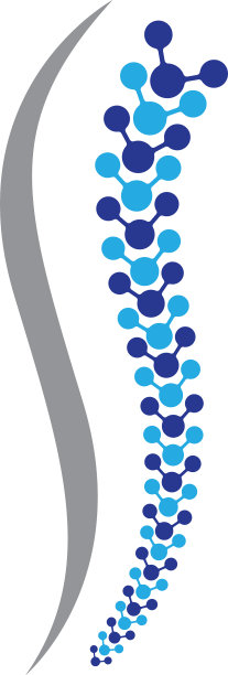 脊柱标志模板图标图片下载