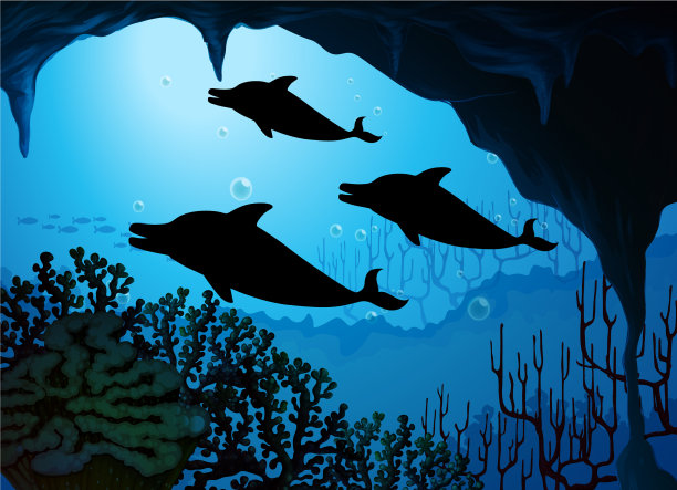 海豚在自然风景剪影图片下载