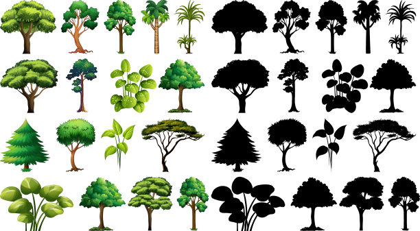 设置植物和树木的剪影图片下载