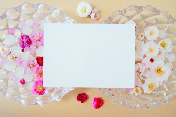 一个长方形白色卡片的模型，上面有许多红白相间的梅花图片下载