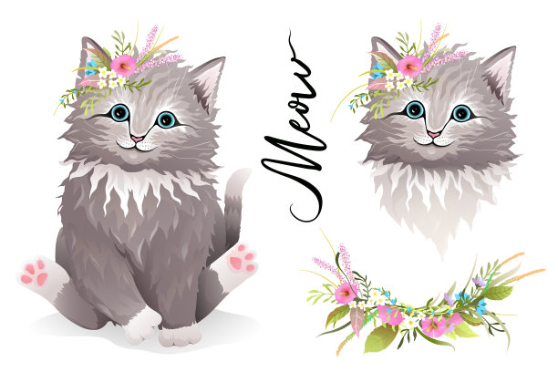 可爱的猫咪猫咪或小猫与花设计图片下载