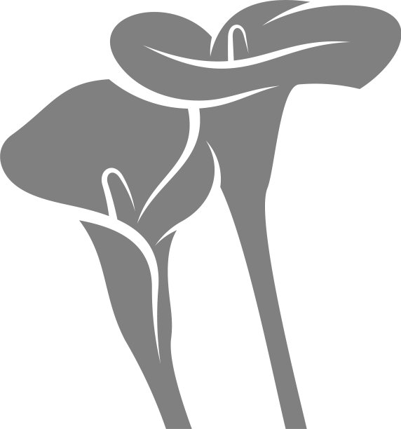 玫瑰花设计花卉标志模板图片下载