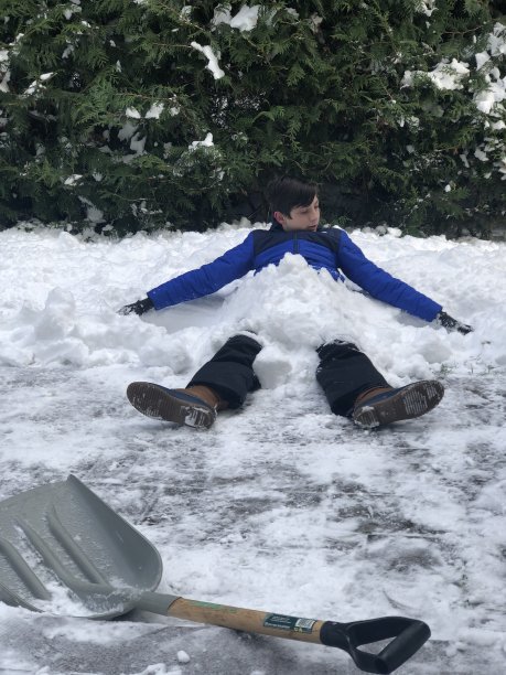 在雪中嬉戏图片下载