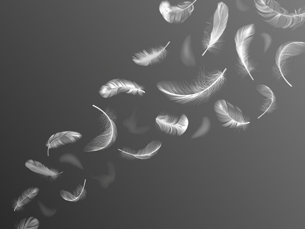 蓬松的羽毛逼真的天使翅膀羽毛流动图片下载