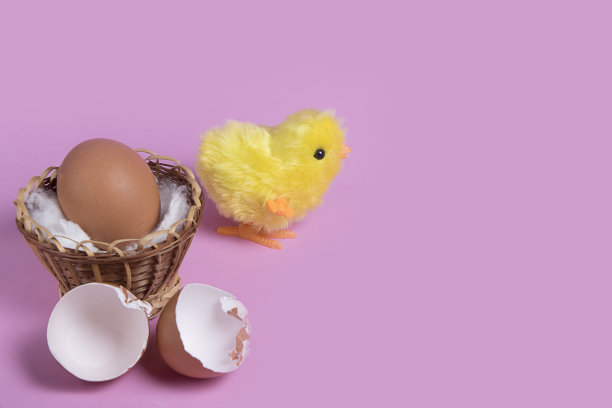 在粉红色的背景上孵蛋和孵出的玩具复活节小鸡。Copyspace图片下载