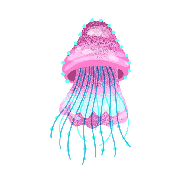 亮粉色的水母生物，海洋或海洋居民图片下载