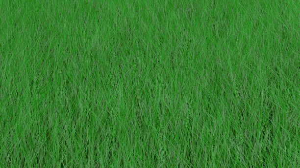 舞动的草和一个巨大的多云的天空在3d。图片下载