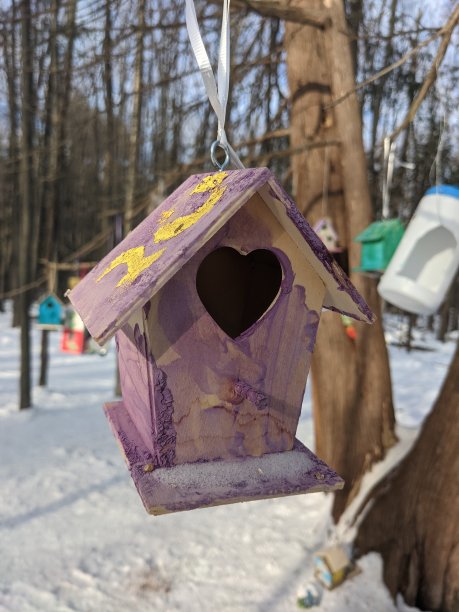 喂鸟器图片下载