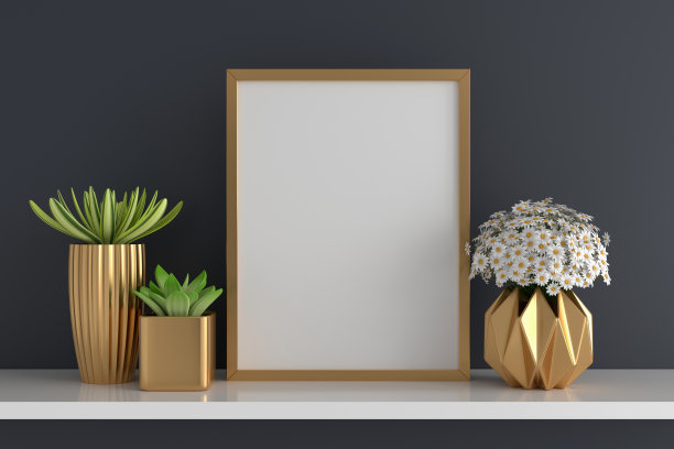 花和肉质盆栽植物框架模型，3D渲染图片下载