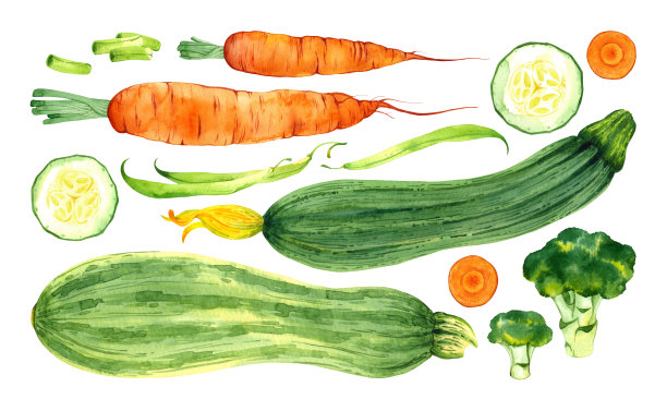 水彩隔离套新鲜蔬菜和水果沙拉或炖:胡萝卜，青豆，西葫芦，西兰花图片下载