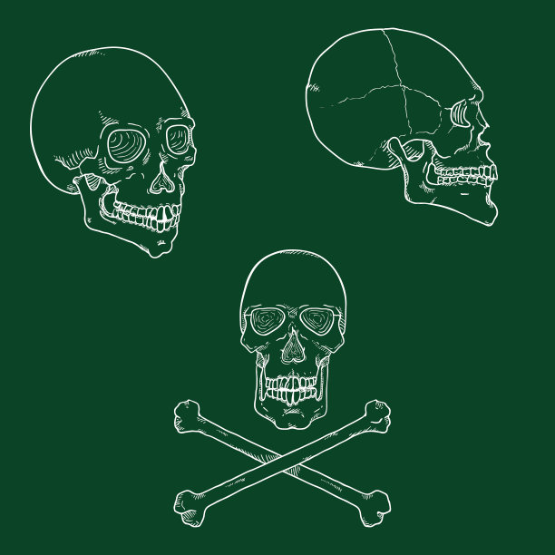 固定粉笔素描头骨图片下载