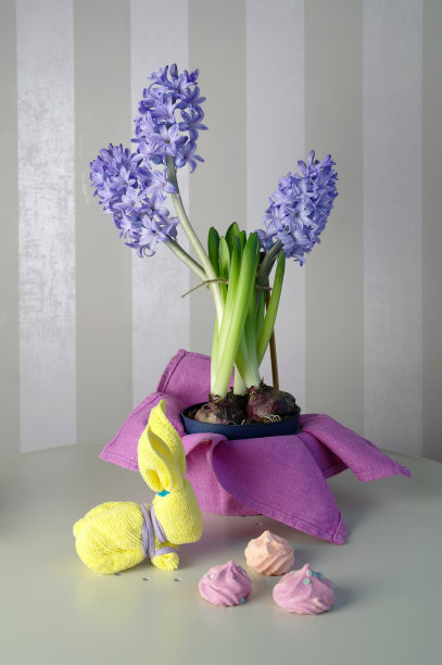 复活节兔子，丁香风信子和粉色蛋白霜，春天的静物，图片下载