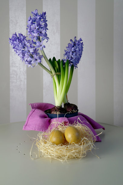 风信子、鸡蛋和淡紫色调和蛋白霜的春天静物图片下载
