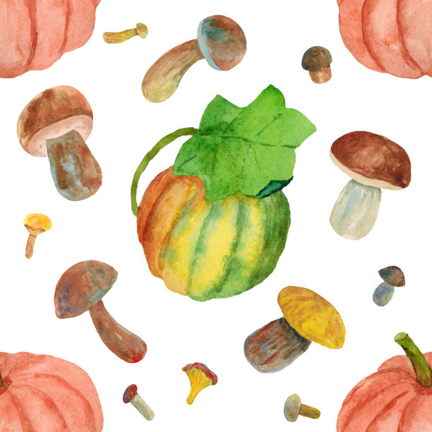 秋天的图案，南瓜和蘑菇在白色的背景上。图片下载