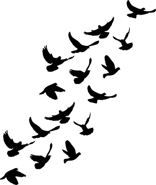 飞翔的鸽群剪影图片下载
