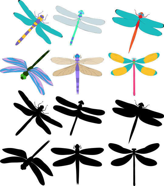 孤立的蜻蜓昆虫剪影集图片下载