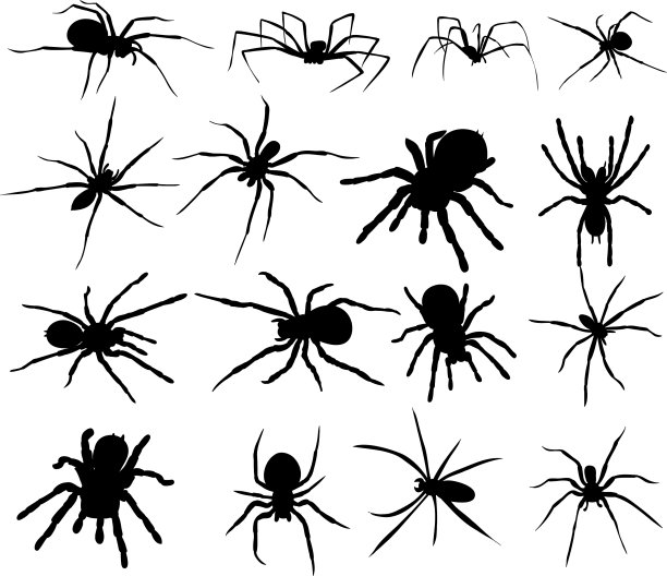 蜘蛛剪影集图片下载