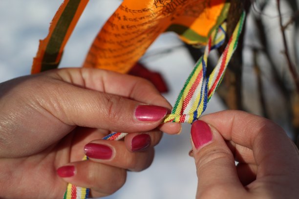 女人双手在光秃秃的树枝上绑着祈祷旗图片下载