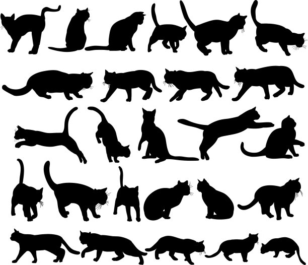 图标剪影猫集合图片下载