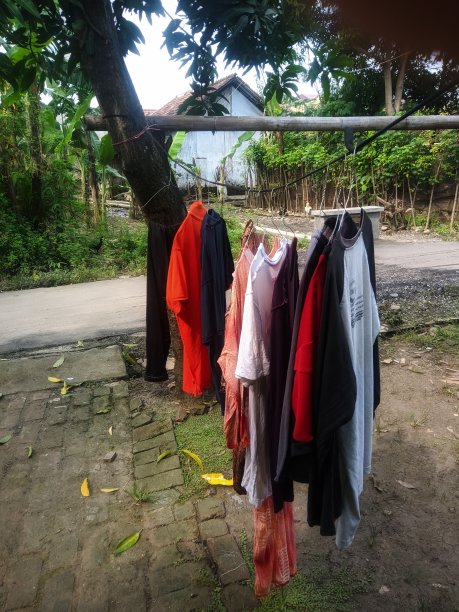 晾衣绳图片下载