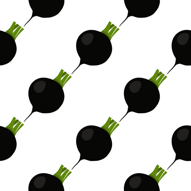 主题上亮纹黑萝卜图片下载