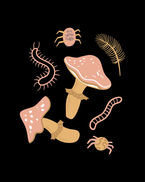 向量神奇的插图。蘑菇、蜘蛛和蠕虫。卡通涂鸦魔法海报，卡片，印刷图片下载